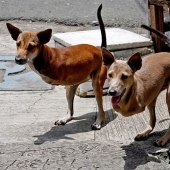 20 images that, no matter how hard it is to believe, are made without photoshop