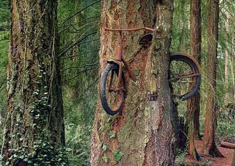 20 images that, no matter how hard it is to believe, are made without photoshop