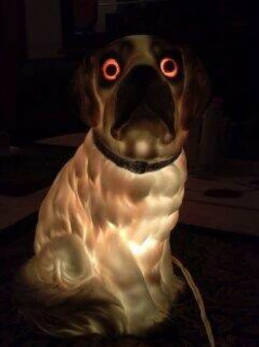 20 of the Weirdest and Strangest things from relatives' homes 20 of the Weirdest and Strangest things from relatives' homes