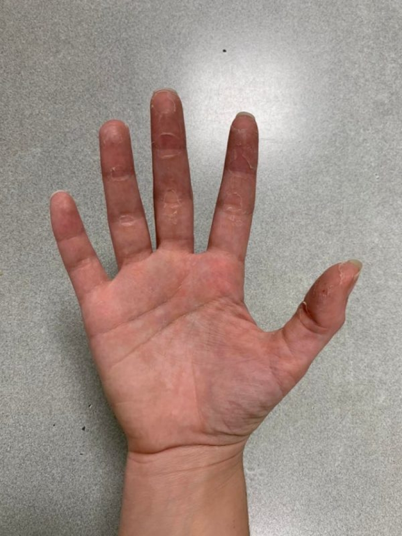 20 personas cuya cuarentena es definitivamente peor que la tuya 20 personas cuya cuarentena es definitivamente peor que la tuya