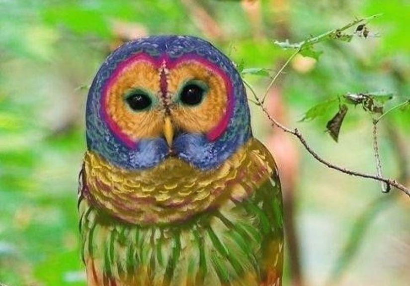 20 photo falsifications that have flown all over the world