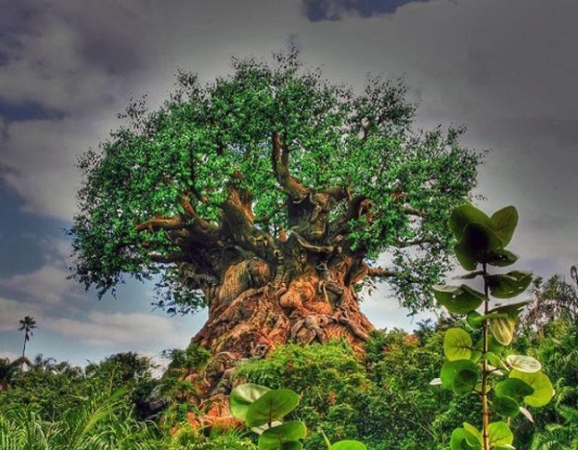 20 photo falsifications that have flown all over the world