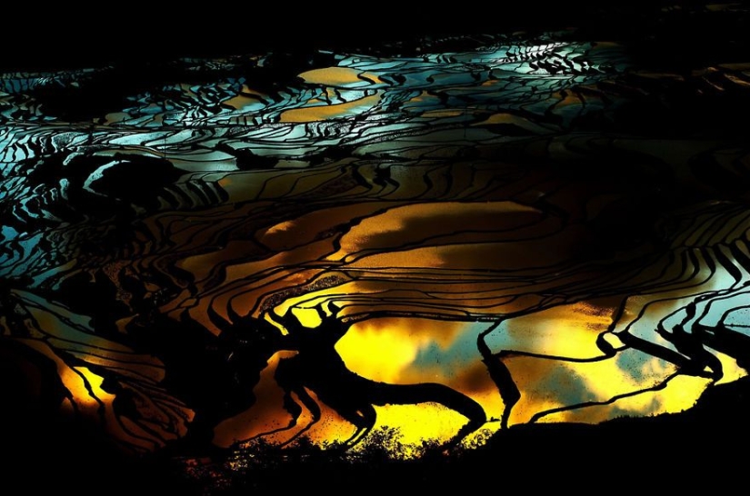 20 reasons to visit China 20 reasons to visit China