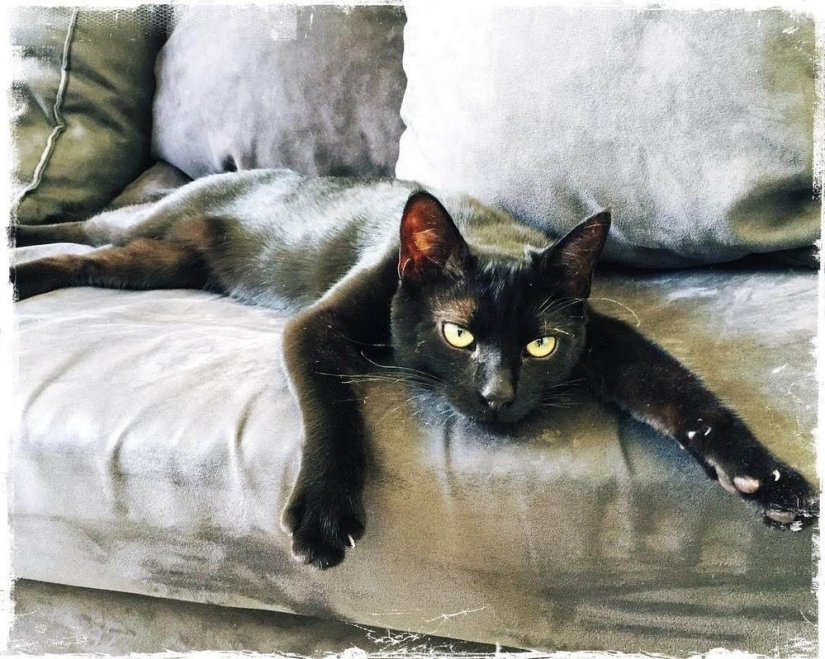 20 sincere pictures from the contest for the best photo of the year from Instagram, which have a special power 20 sincere pictures from the contest for the best photo of the year from Instagram, which have a special power