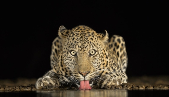 20 stunning pictures of the finalists of the Sony World Photography 2018 photo contest 20 stunning pictures of the finalists of the Sony World Photography 2018 photo contest