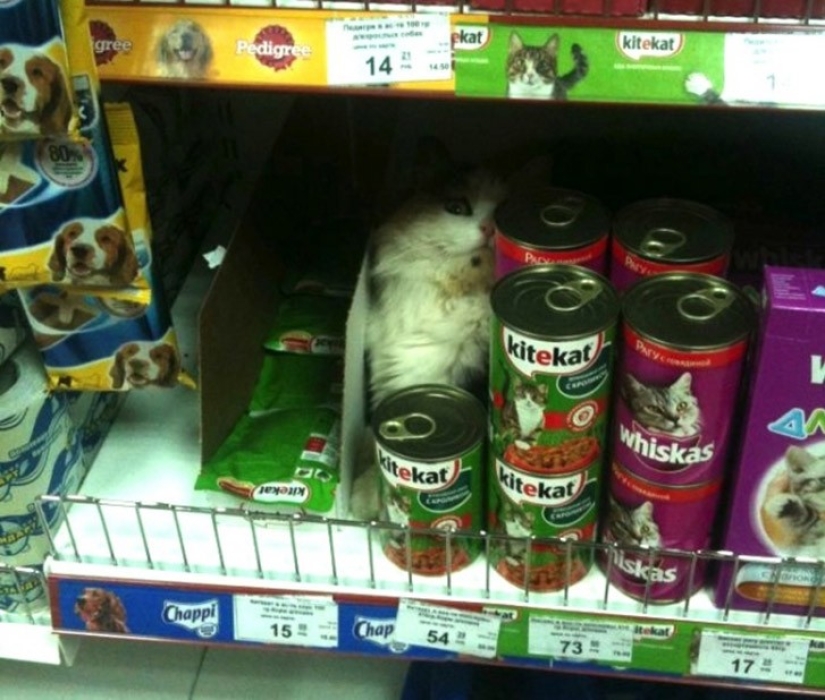 20 surprises that supermarkets have prepared for us