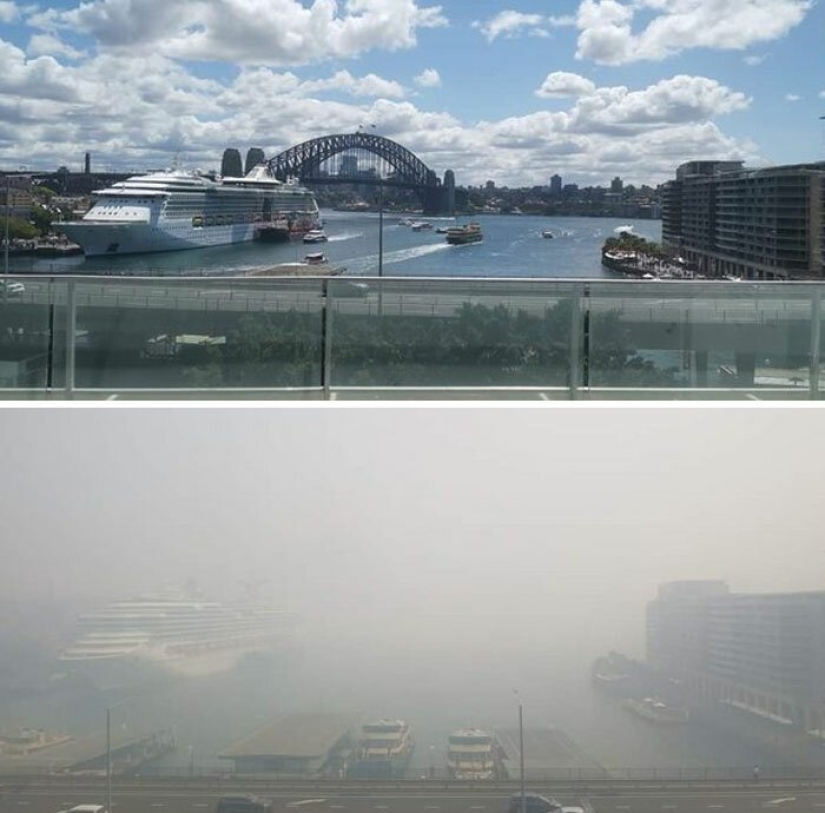 21 fotos que muestran las secuelas de los terribles incendios forestales en Australia