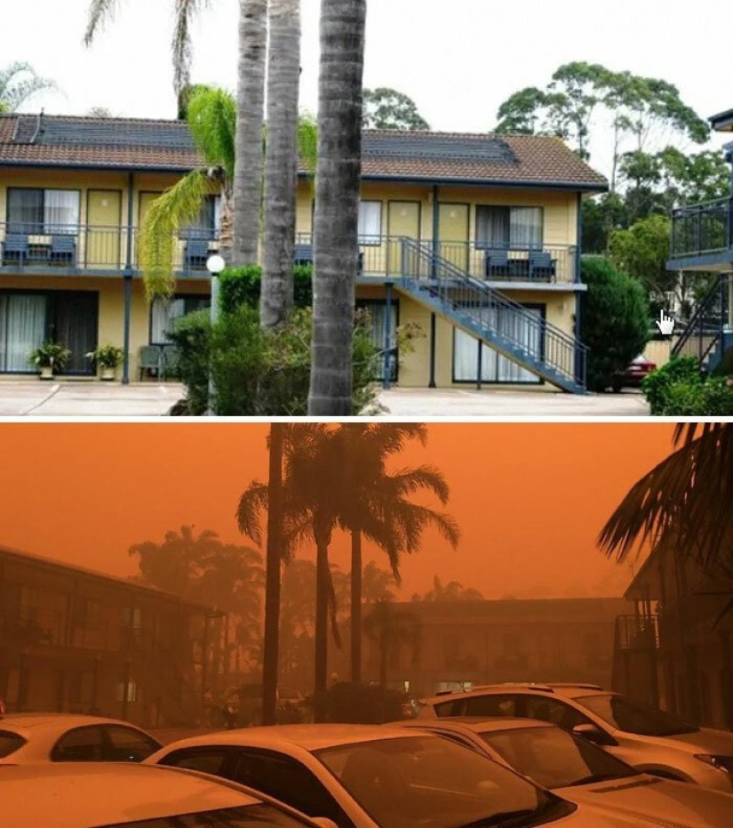 21 fotos que muestran las secuelas de los terribles incendios forestales en Australia