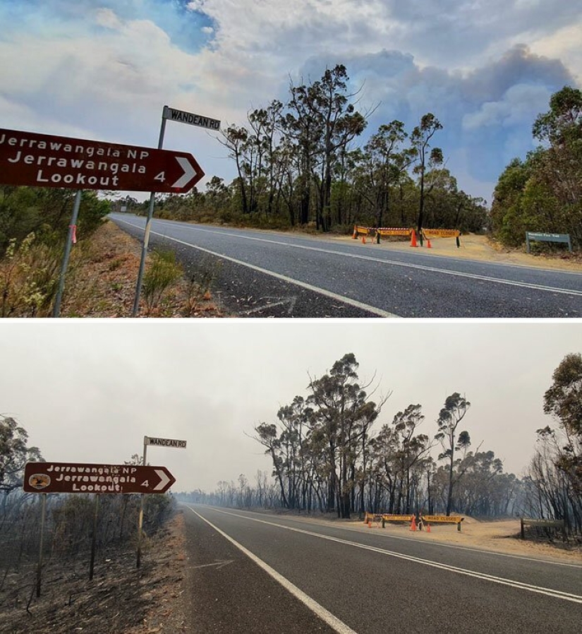 21 photos showing the aftermath of horrific bushfires in Australia 21 photos showing the aftermath of horrific bushfires in Australia