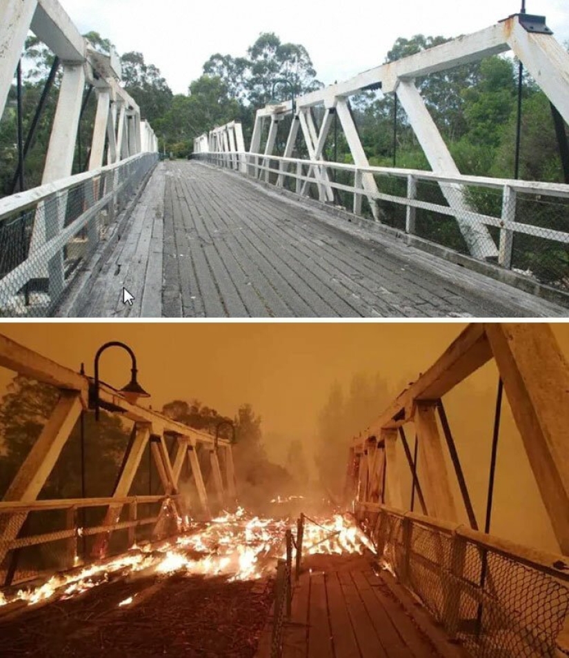 21 photos showing the aftermath of horrific bushfires in Australia 21 photos showing the aftermath of horrific bushfires in Australia