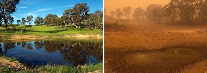 21 photos showing the aftermath of horrific bushfires in Australia 21 photos showing the aftermath of horrific bushfires in Australia