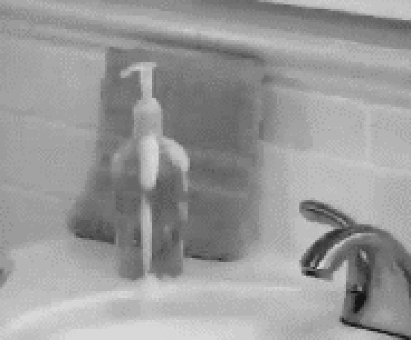 21 the most ridiculous gif about inept people from the "shop on the couch" advertisement 21 the most ridiculous gif about inept people from the "shop on the couch" advertisement