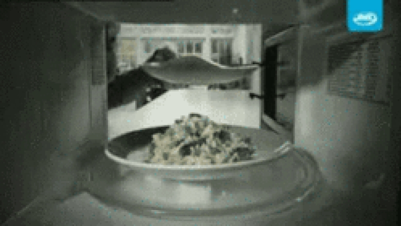 21 the most ridiculous gif about inept people from the "shop on the couch" advertisement 21 the most ridiculous gif about inept people from the "shop on the couch" advertisement