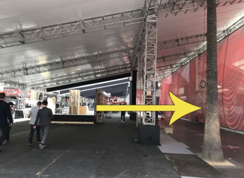 22 facts about the Oscar ceremony that you hardly know about 22 facts about the Oscar ceremony that you hardly know about