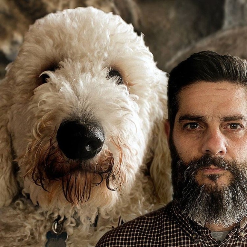 22 funny photos about the incredible adventures of a photographer and his "giant" dog