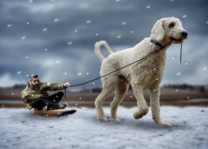 22 imágenes divertidas acerca de las increíbles aventuras de un fotógrafo y su perro gigante