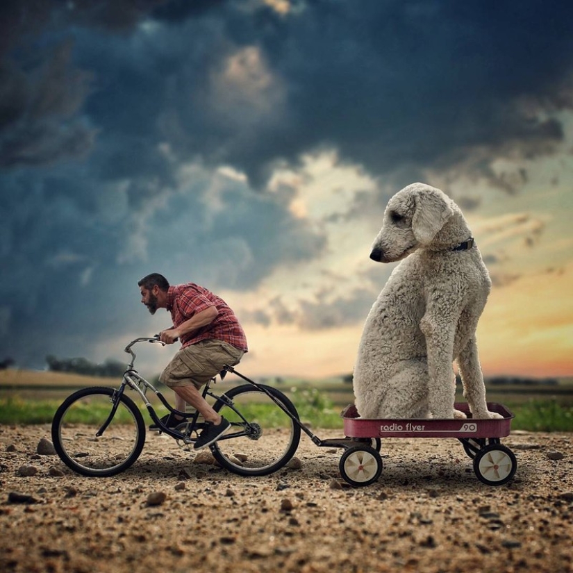 22 imágenes divertidas acerca de las increíbles aventuras de un fotógrafo y su perro gigante