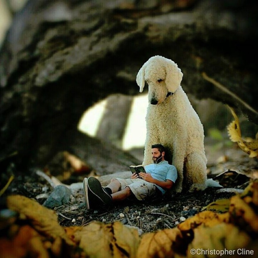 22 imágenes divertidas acerca de las increíbles aventuras de un fotógrafo y su perro gigante