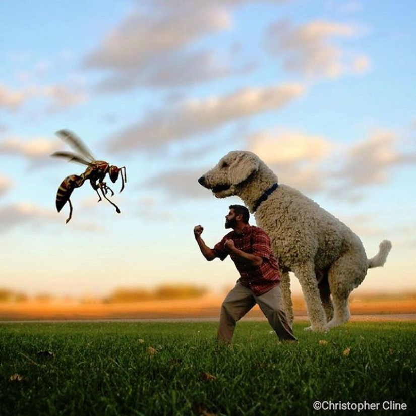 22 imágenes divertidas acerca de las increíbles aventuras de un fotógrafo y su perro gigante