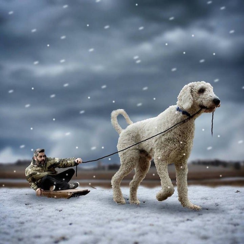 22 imágenes divertidas acerca de las increíbles aventuras de un fotógrafo y su perro gigante