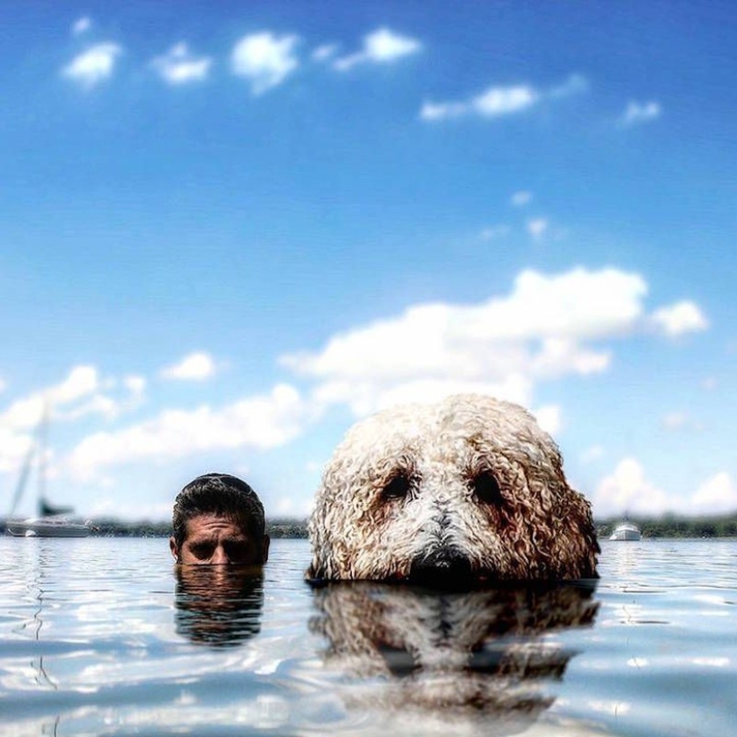 22 imágenes divertidas acerca de las increíbles aventuras de un fotógrafo y su perro gigante