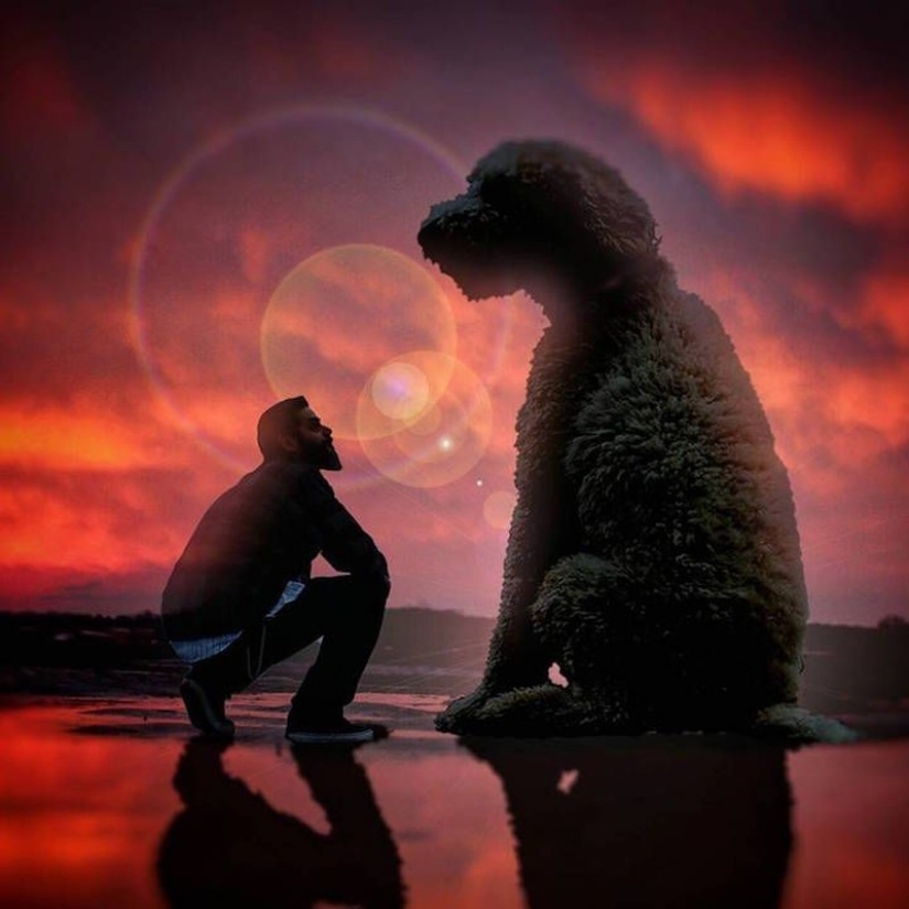 22 imágenes divertidas acerca de las increíbles aventuras de un fotógrafo y su perro gigante