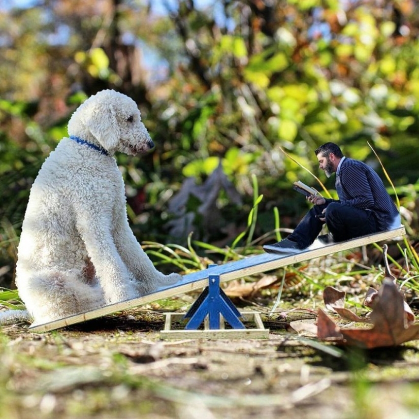 22 imágenes divertidas acerca de las increíbles aventuras de un fotógrafo y su perro gigante