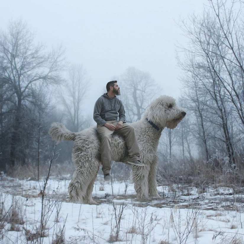 22 imágenes divertidas acerca de las increíbles aventuras de un fotógrafo y su perro gigante