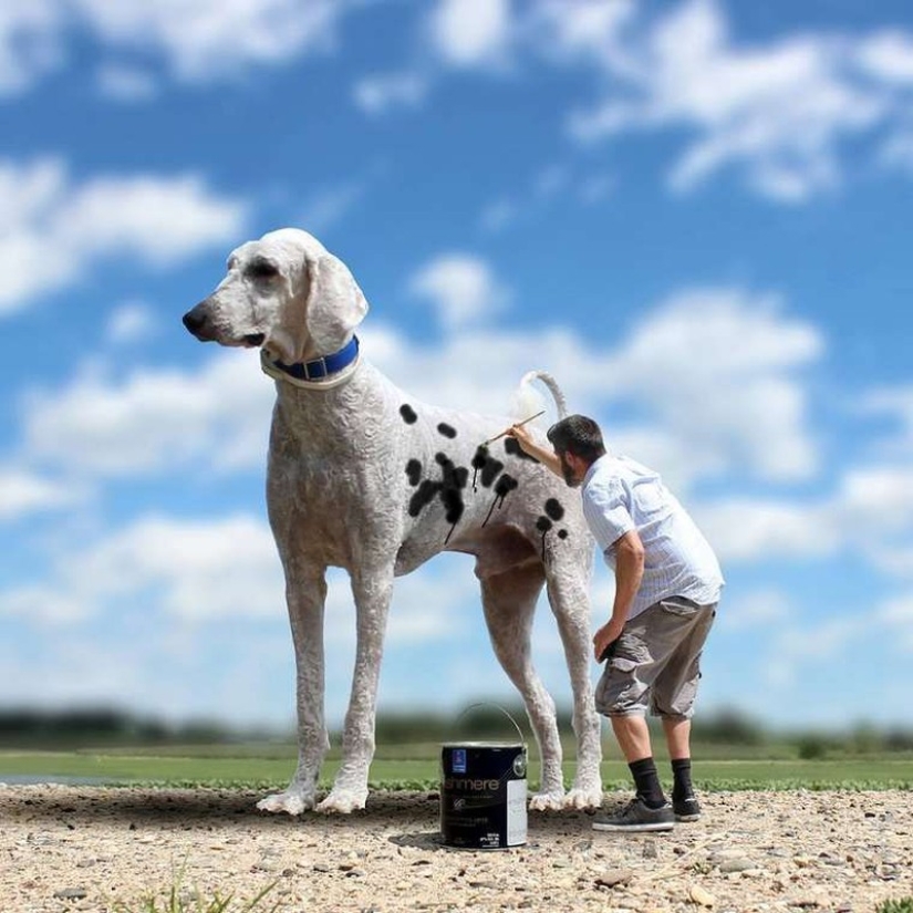 22 imágenes divertidas acerca de las increíbles aventuras de un fotógrafo y su perro gigante