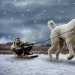 22 imágenes divertidas acerca de las increíbles aventuras de un fotógrafo y su perro gigante 22 imágenes divertidas acerca de las increíbles aventuras de un fotógrafo y su perro gigante