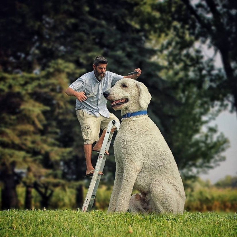 22 imágenes divertidas acerca de las increíbles aventuras de un fotógrafo y su perro gigante