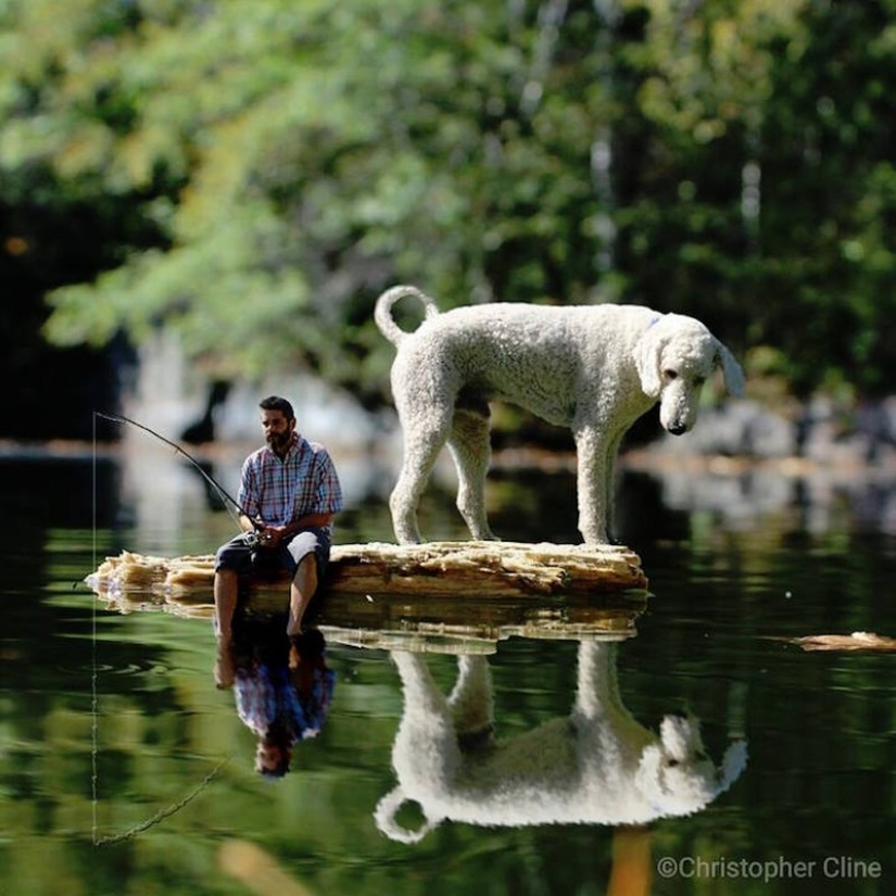 22 imágenes divertidas acerca de las increíbles aventuras de un fotógrafo y su perro gigante