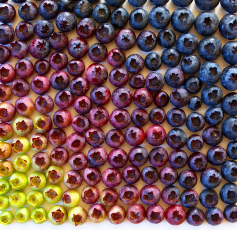 23 fotos con cosas que son dolorosamente perfectas 23 fotos con cosas que son dolorosamente perfectas