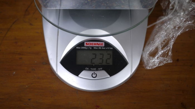 2,3 kilos de moscas por semana: cómo deshacerse de los insectos en el país según el método australiano