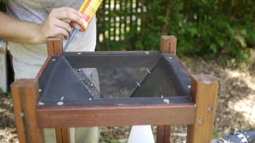 2.3 kilos of flies per week: how to get rid of insects in the country according to the Australian method