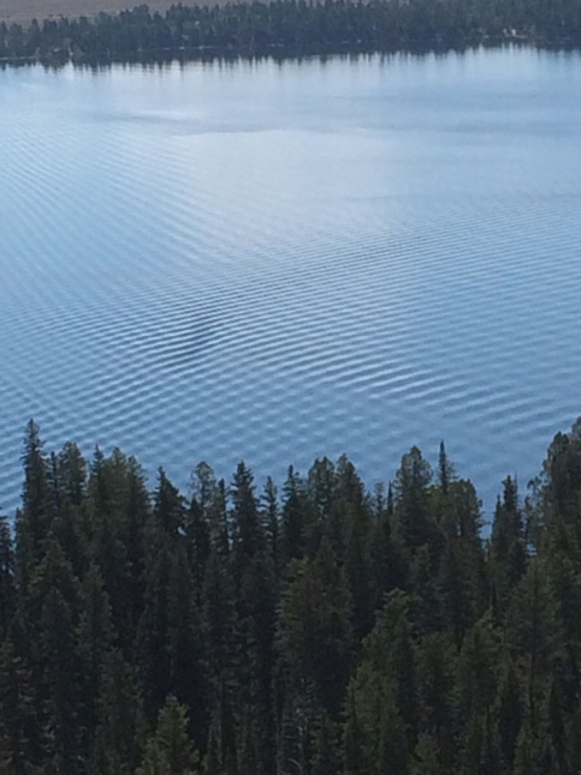 23 photos with things that are painfully perfect