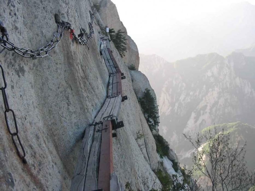 24 vertiginosas atracciones en todo el mundo