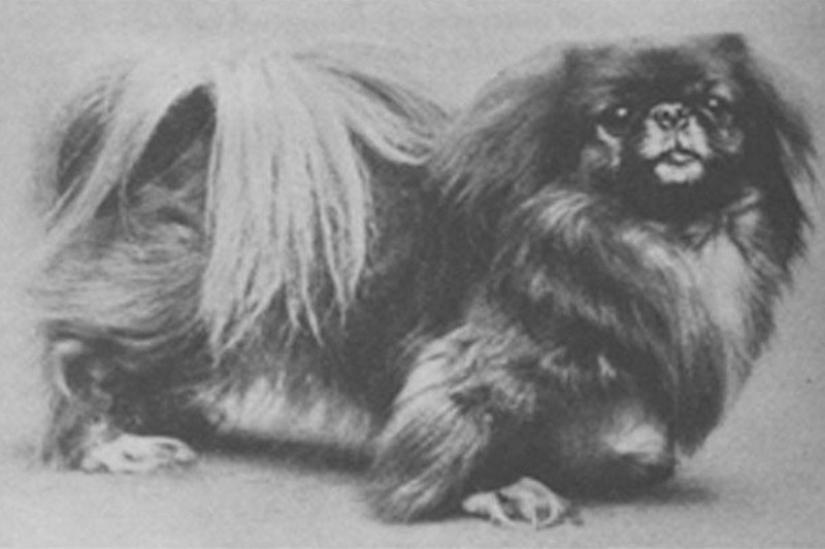 25 facts about the Titanic that may surprise you 25 facts about the Titanic that may surprise you