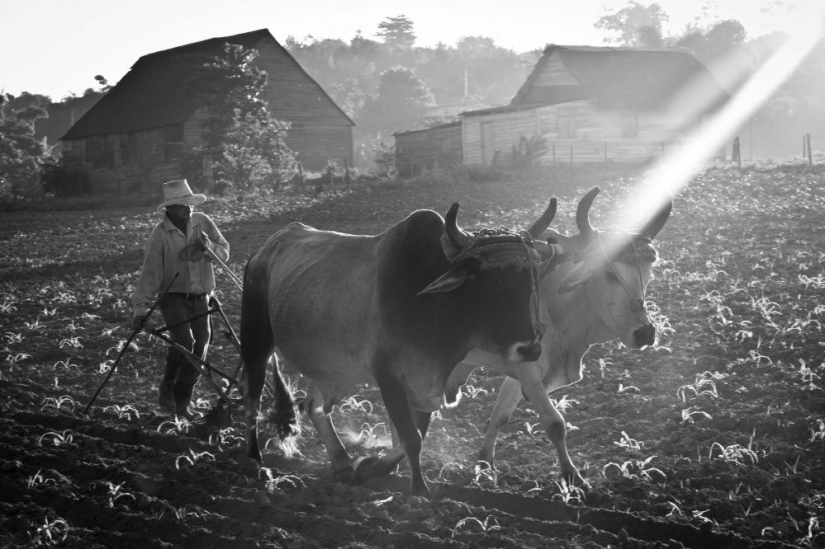 25 fotogramas que encantaron incluso a los fotógrafos profesionales 25 fotogramas que encantaron incluso a los fotógrafos profesionales