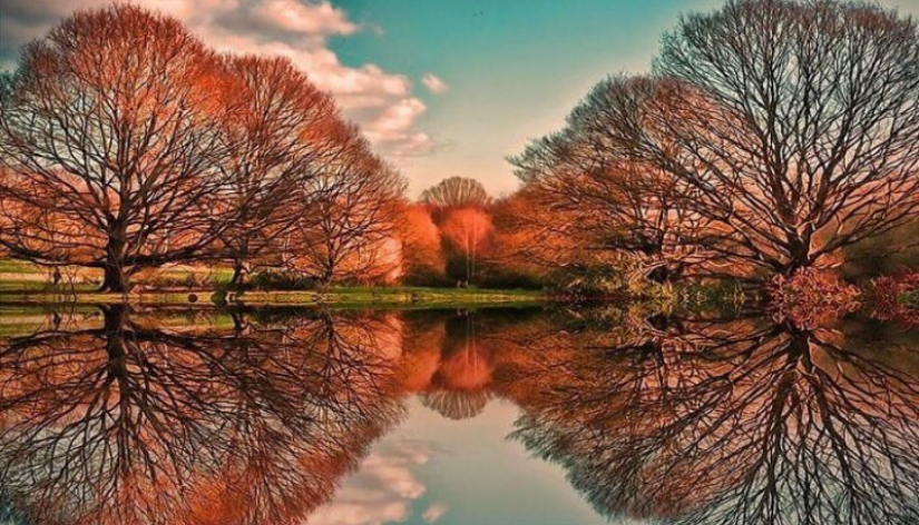 25 fotos en las que no está claro dónde está el reflejo y dónde está la realidad 25 fotos en las que no está claro dónde está el reflejo y dónde está la realidad