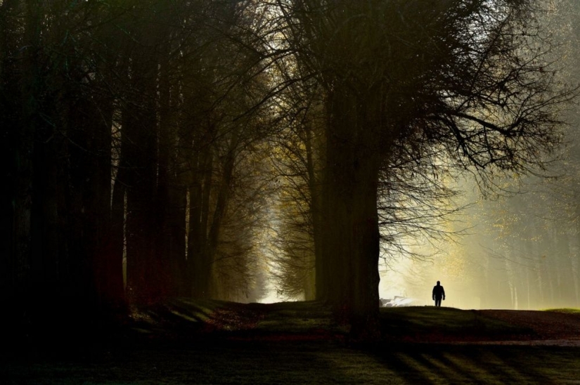 25 frames that charmed even professional photographers