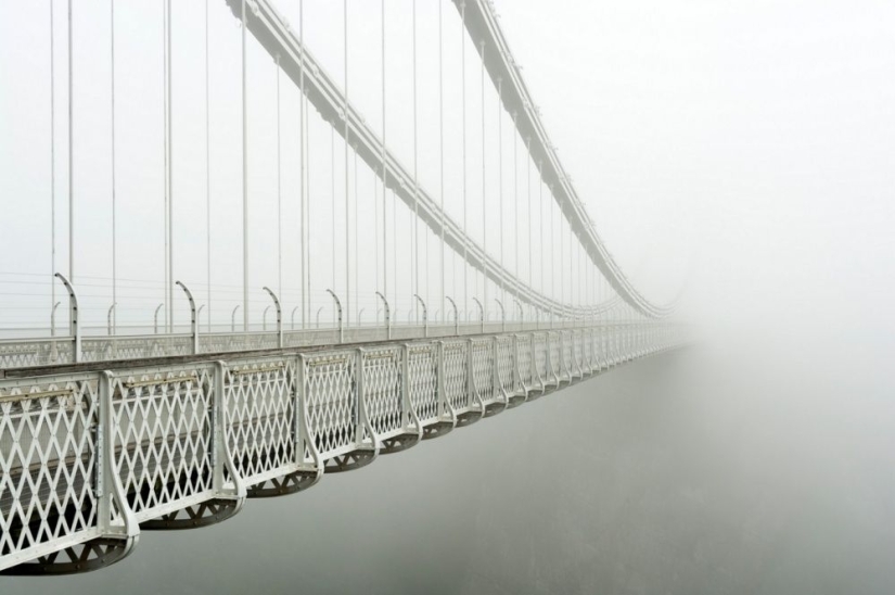 25 frames that charmed even professional photographers