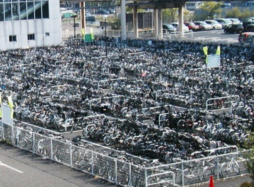 25 locuras que solo se pueden encontrar en Japón