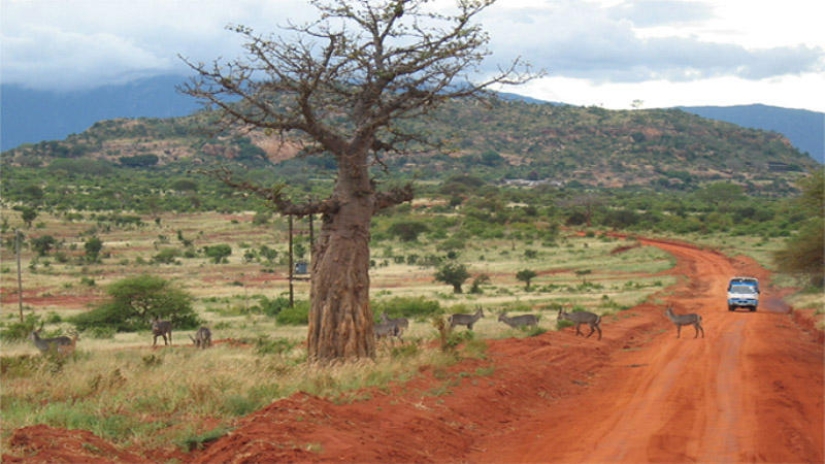 25 lugares más hermosos donde nadie te molestará 25 lugares más hermosos donde nadie te molestará