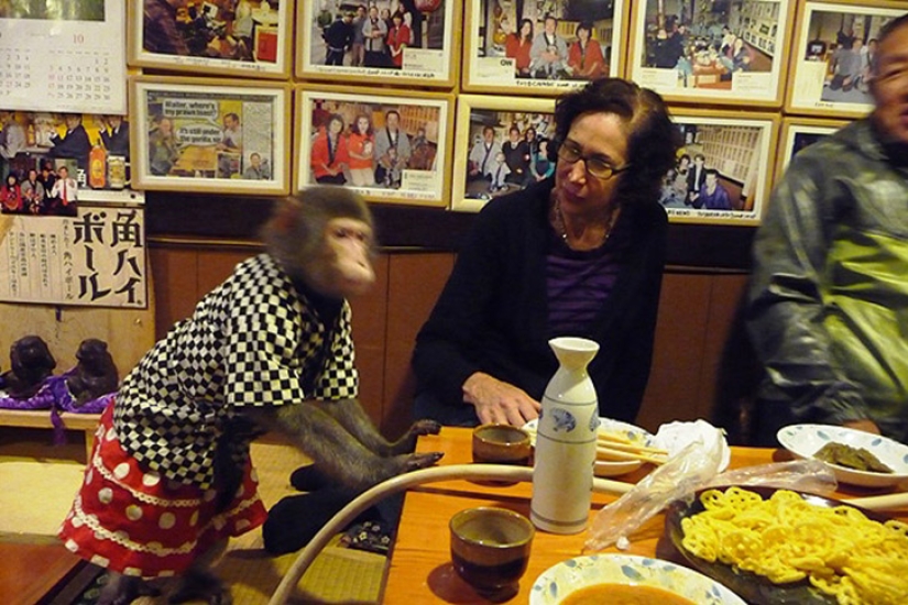 25 most amazing restaurants from around the world 25 most amazing restaurants from around the world