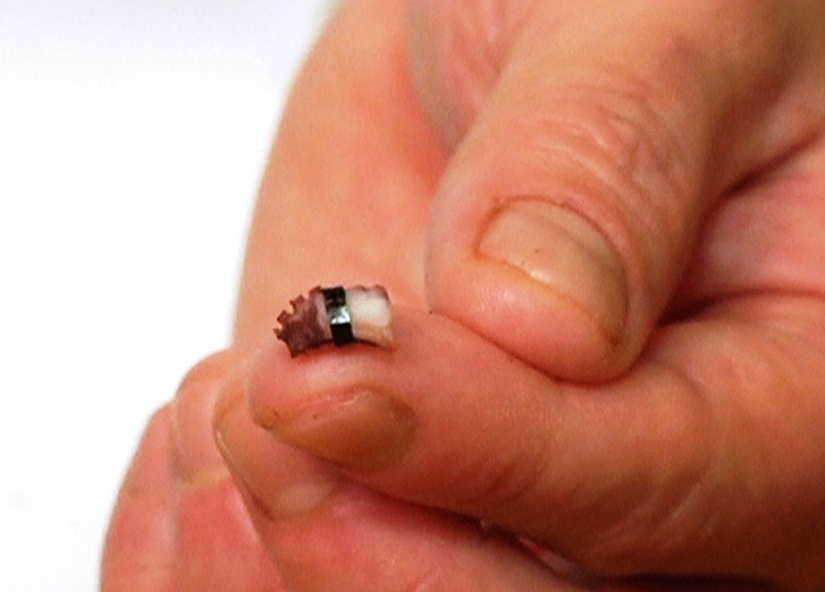 25 most amazing restaurants from around the world 25 most amazing restaurants from around the world