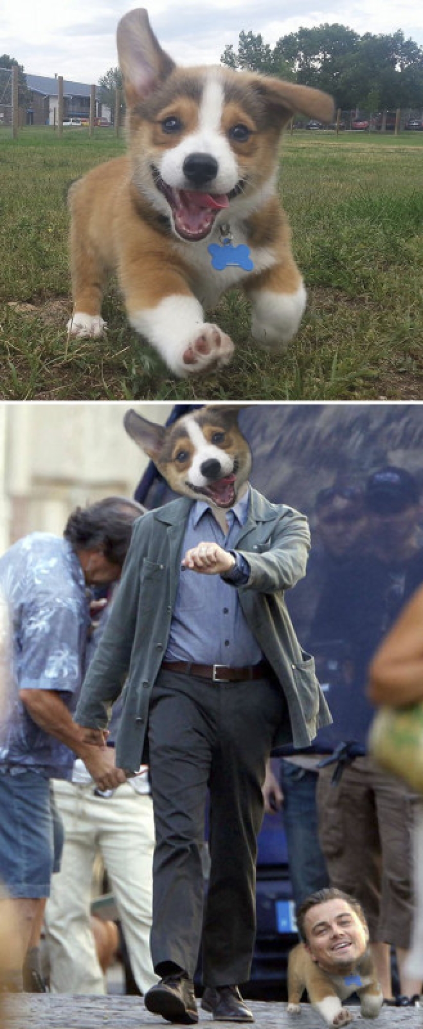 25 works of the winners of photoshop battles