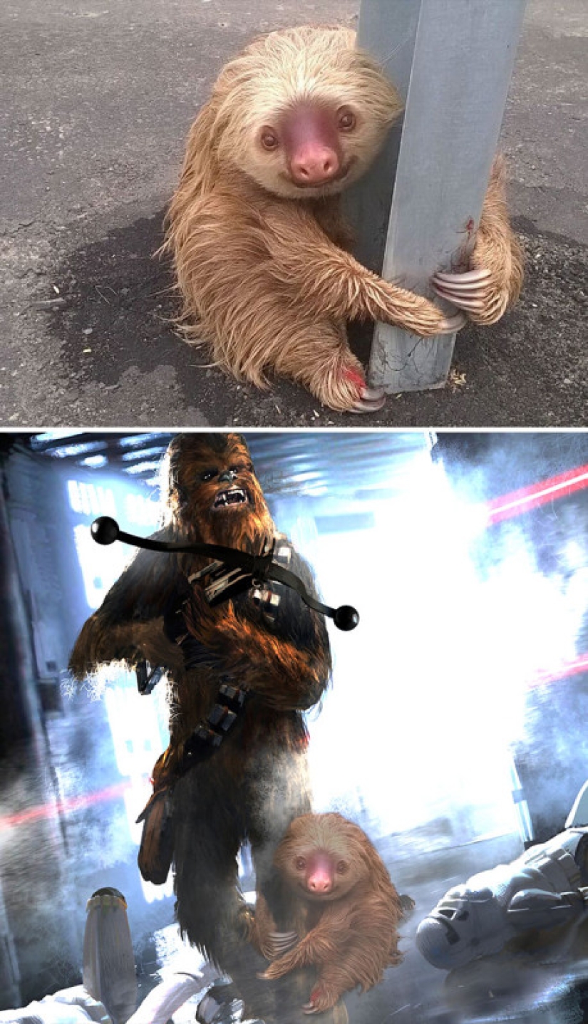 25 works of the winners of photoshop battles