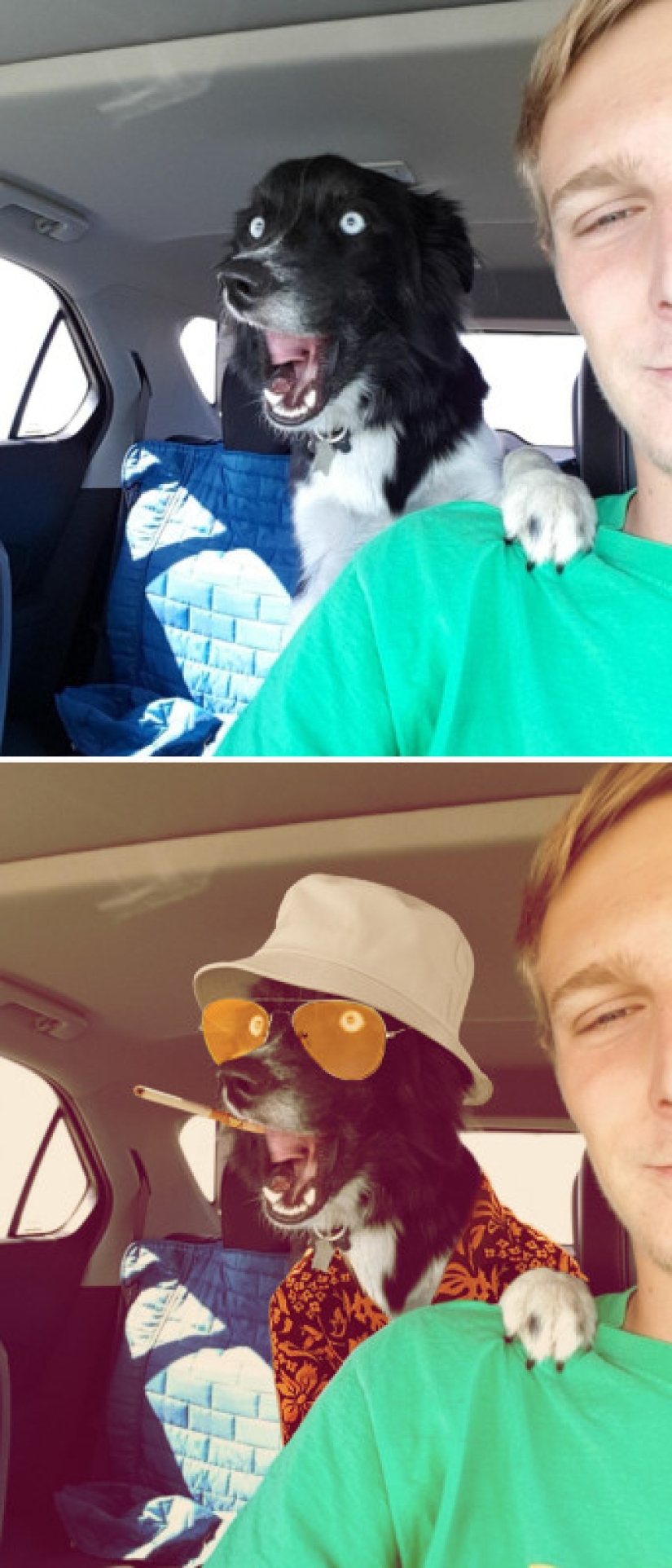25 works of the winners of photoshop battles