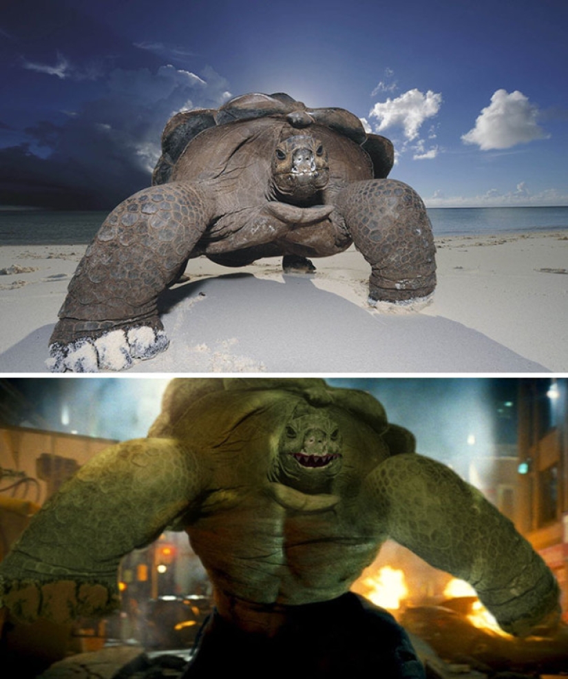 25 works of the winners of photoshop battles